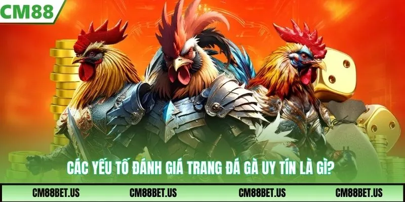 Các yếu tố đánh giá trang đá gà uy tín là gì?