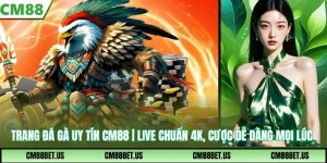 Trang Đá Gà Uy Tín | Live Chuẩn 4K, Cược Mọi Lúc Dễ Dàng
