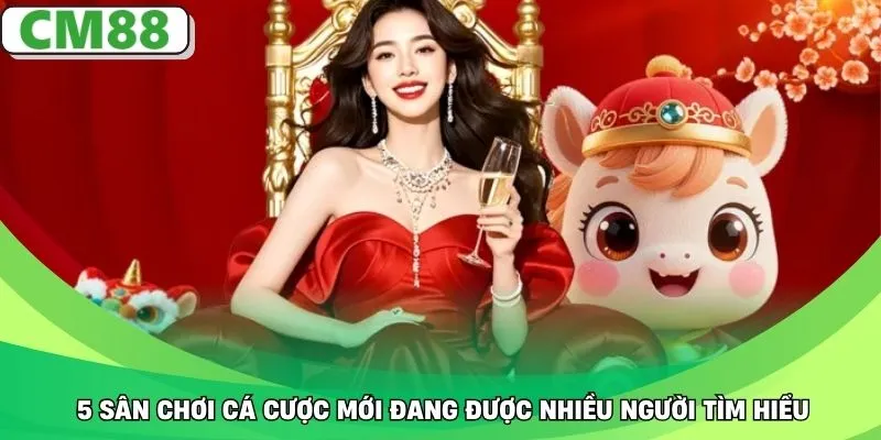 5 sân chơi cá cược mới đang được nhiều người tìm hiểu