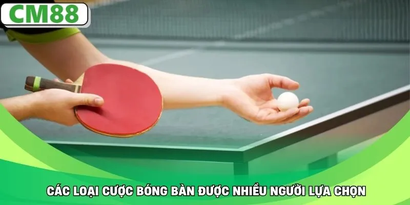 Các loại cược bóng bàn được nhiều người lựa chọn