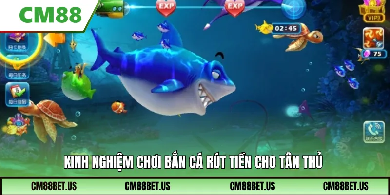 Kinh nghiệm chơi bắn cá rút tiền cho tân thủ